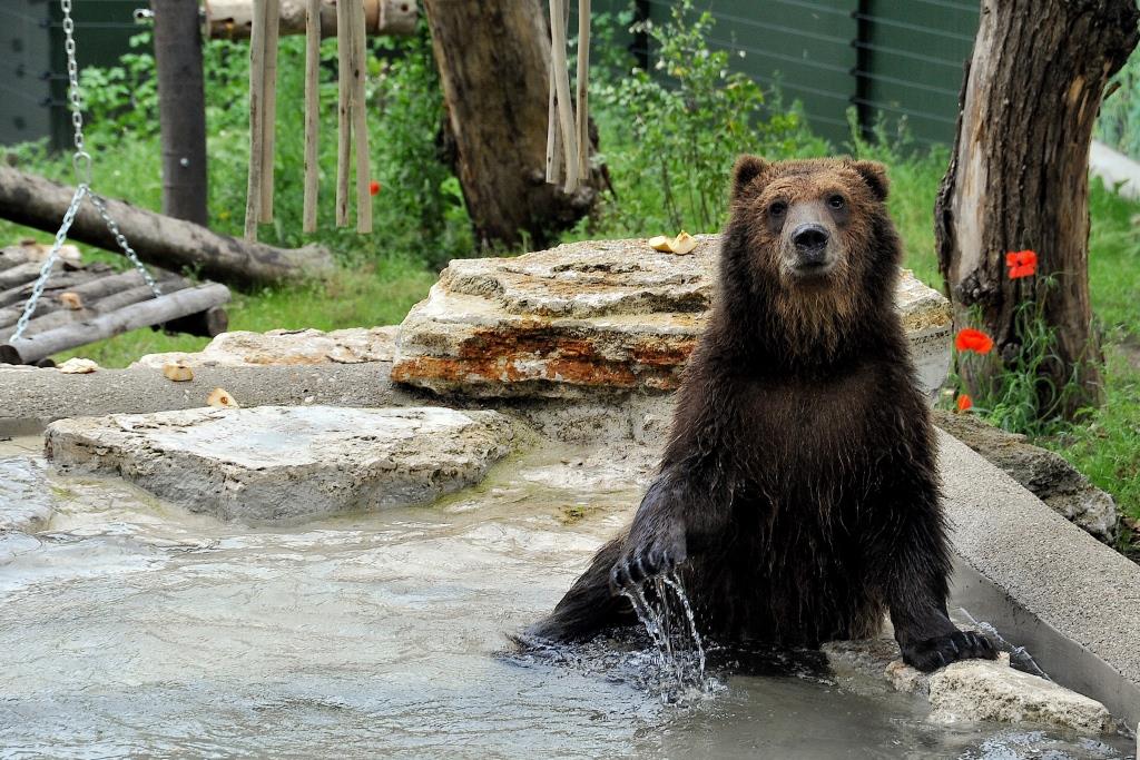 bioparco