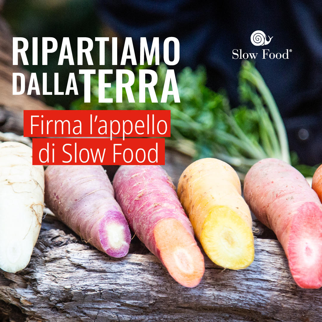 slowfood