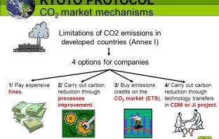 Regionali, Avenali (PD): festeggio anniversario protocollo Kyoto per abbattere CO2 co2