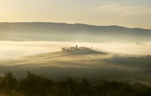 La storia di come nasce l’Olio extra vergine biologico AETOS olio