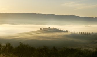 La storia di come nasce l’Olio extra vergine biologico AETOS olio
