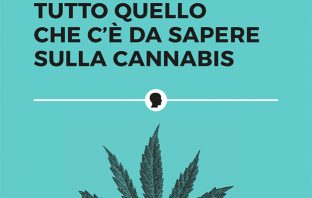 “Canapa Revolution”: tutto quello che c’è da sapere sulla cannabis cannabis