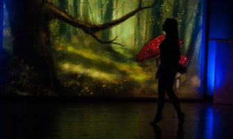 alice nel paese delle meraviglie