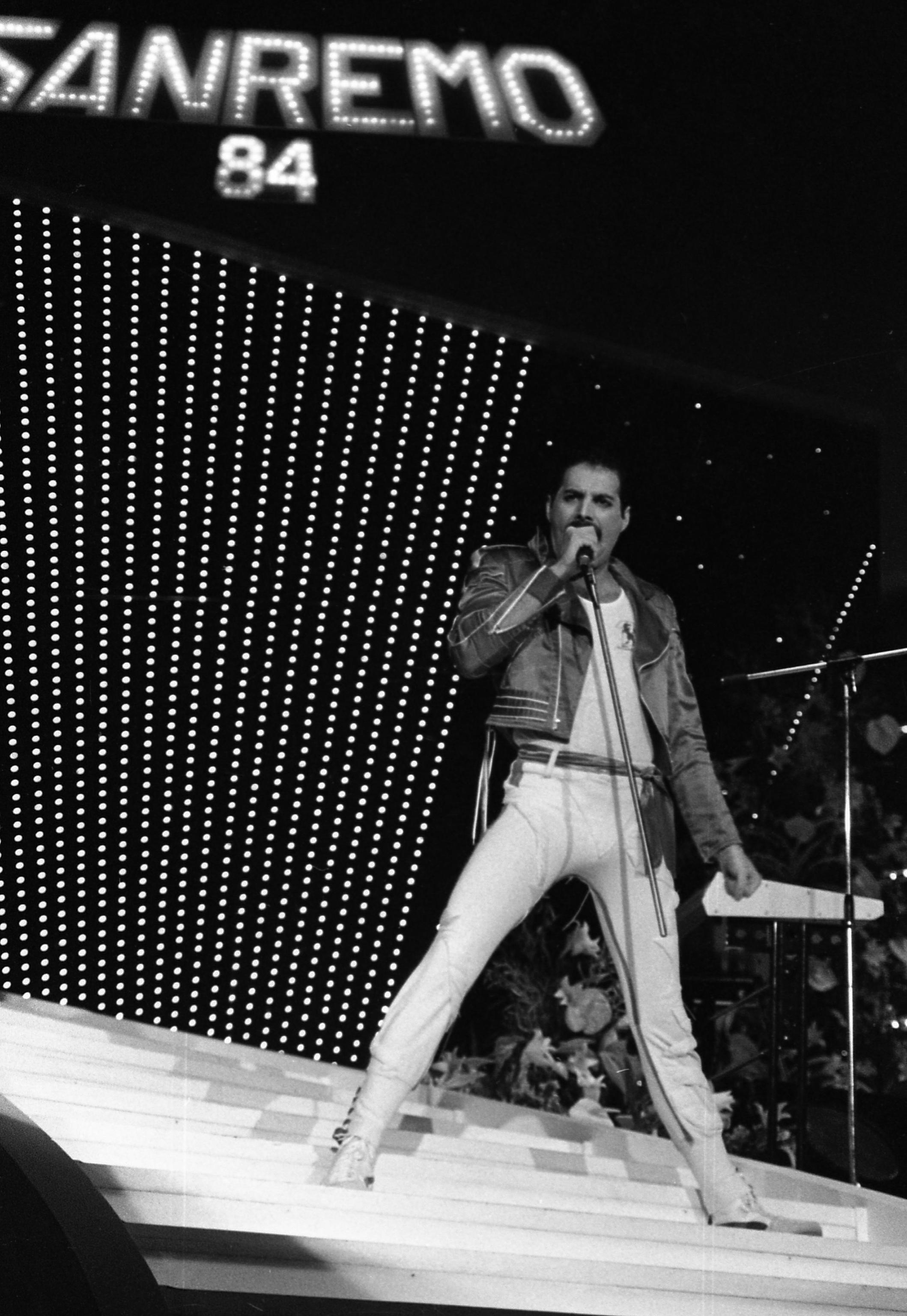 Freddie Mercury Viviroma