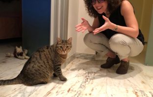 Animali, volti noti spettacolo e sport insieme ai poeti del passato animali