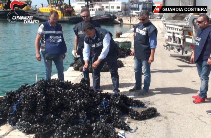 cozze pericolose carabinieri