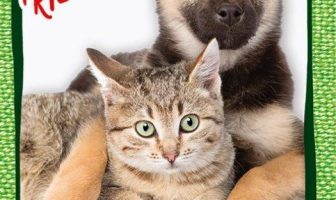 animali in vacanza