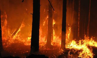 estate incendi