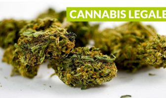 cannabis light