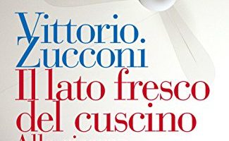 il lato fresco del cuscino