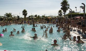 summer pool festival
