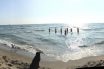 baubeach ferragosto