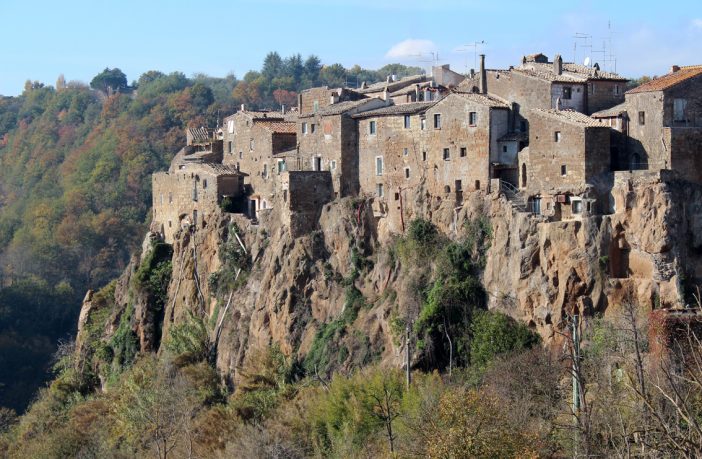 festival cinema il bosco