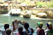 Roma Bioparco