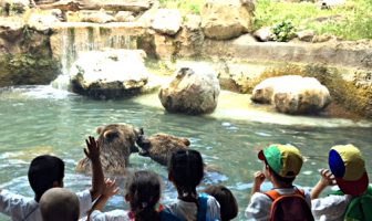 Roma Bioparco