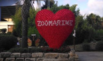 Cupido sbarca a Zoomarine per festeggiare gli amori estivi cupido zoomarine