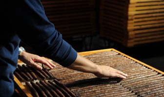 tabacco toscano