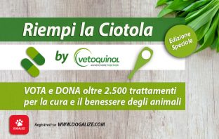 riempi la ciotola