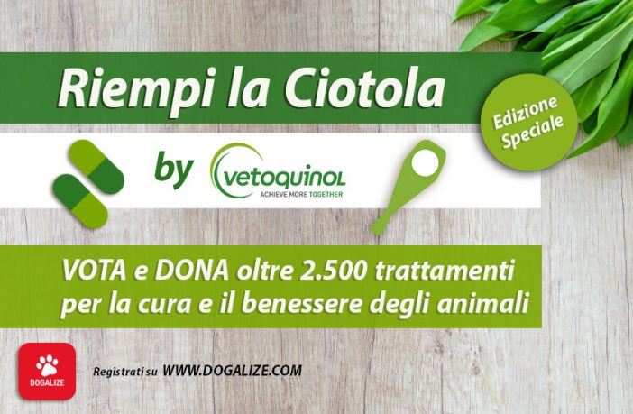 riempi la ciotola