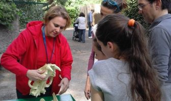 bioparco