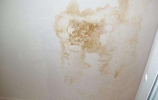 Scuola, Picone (Lega): infiltrazioni e alberi pericolanti alberi pericolanti
