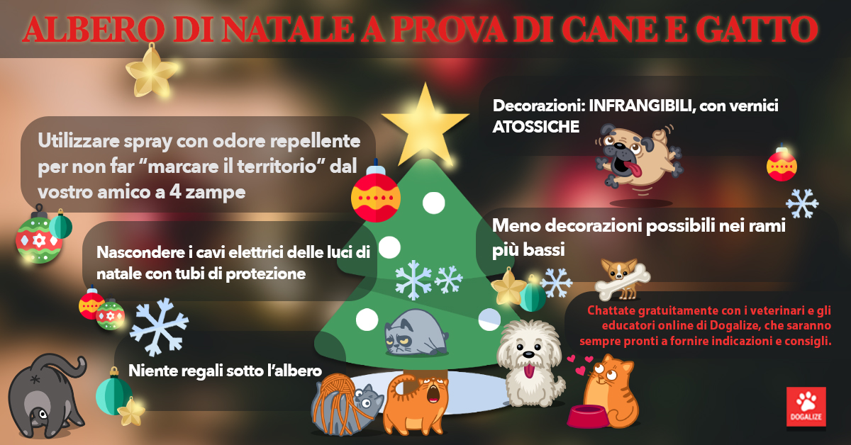 Albero Di Natale E Gatto Come Fare.Come Fare Gli Addobbi Di Natale Con Cani E Gatti In Casa