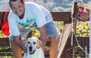 Dalla parte degli animali la campagna social contro i botti di fine anno capodanno animali