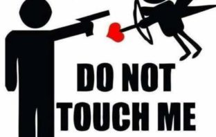 Italiani sempre più single, meno sposati e meno bamboccioni. single