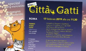 festa del gatto