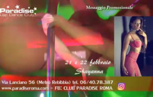 Paradise club tutti gli eventi di febbraio e marzo paradise