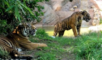 bioparco