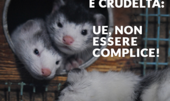 lndc