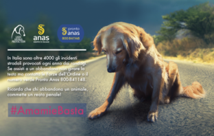 Anas e LNDC: al via per il secondo anno la campagna #amamiebasta lndc