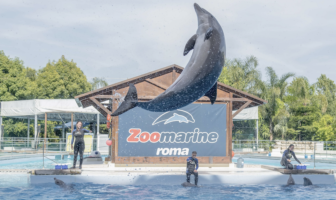 Zoomarine estate 2019 zoomarine