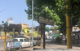 Sicurezza stradale: Nanni (IIC), senza potature semafori rischio tragedia per i pedoni nanni