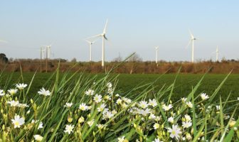 green economy