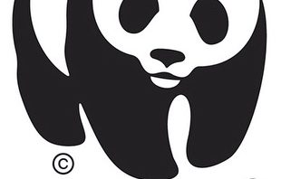 Camilleri: WWF, non solo un grande narratore ma anche grandissimo divulgatore di bellezza e natura camilleri