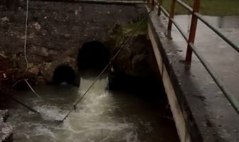 Le copiose piogge rivelano criticità negli scarichi del depuratore consortile di Fiuggi, Torre Cajetani e Trivigliano: allertata l’ARPA piogge