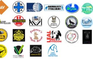 Salviamo i macachi dell’Università di Parma lndc