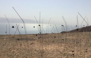 Musja: mostra “The Dark Side – Chi ha paura del Buio?” musja