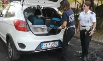 Primavalle: Polizia Locale scopre una colonia felina polizia locale