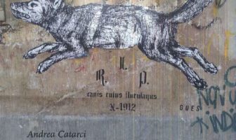 generazioni di rimessa