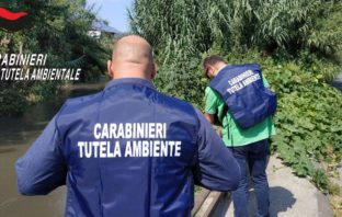Scarichi, reflui industriali e trattamento rifiuti non autorizzati carabinieri