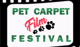 pet carpet