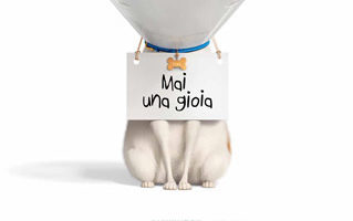 pet