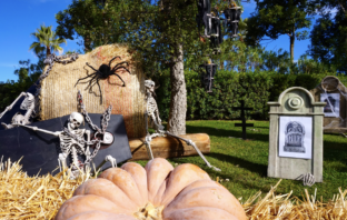 A Rainbow MagicLand sta arrivando Halloween rainbow