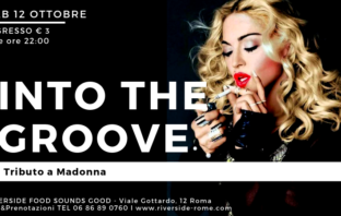 Tributo a Madonna into the groove