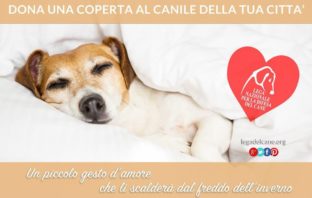 Appello LNDC – Regalate coperte al rifugio più vicino lndc