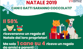 coccole animali