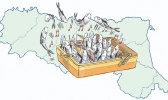 6000 sardine